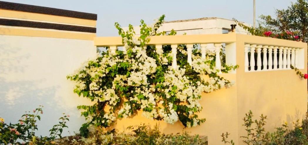 Royal Meadows - Igatpuri Bungalow B Exteriér fotografie